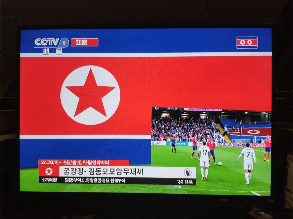 己的体育激 己的体育激